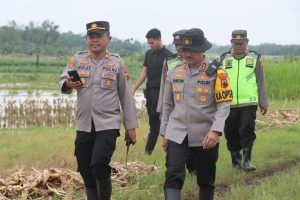 Tanggul Jebol Sepanjang 25 Meter, Ratusan Personel Diterjunkan Tangani Banjir di Demak