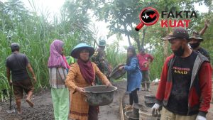 Peluh yang Menjadi Jalan, Ketangguhan Ibu-Ibu Somagede Menyulam Asa di Rabat Desa