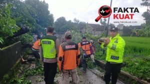 Polsek Prambanan Gerak Cepat Evakuasi Pohon Tumbang Usai Cuaca Ekstrem