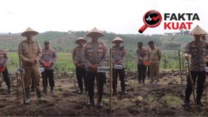 Polres Demak Tanam Jagung Serentak di Karangawen, Dukung Swasembada Pangan