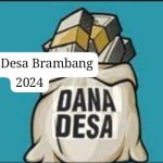 Transparansi Dana Desa 2024: Penyaluran Rp1,16 Miliar, Fokus pada Sanitasi hingga Ketahanan Sosial