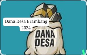 Transparansi Dana Desa 2024: Penyaluran Rp1,16 Miliar, Fokus pada Sanitasi hingga Ketahanan Sosial