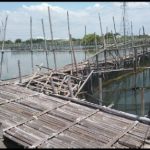 Warga Dukuh Nyangkring, Demak, Keluhkan Akses ke Makam yang Memutar hingga 8 Kilometer