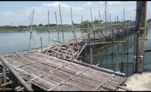 Warga Dukuh Nyangkring, Demak, Keluhkan Akses ke Makam yang Memutar hingga 8 Kilometer