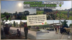 Menyemai Rindu Untuk Tanah Kelahiran, Seribu Tabebuya H. Joko Suranto, S.H., M.Hum. kini Menghiasi Desa Jetis