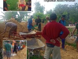 Sinergi Warga dan Kelompok Tani,Dusun Tambak Desa Sarirejo Bangun Jalan Usaha Tani Sepanjang 800 Meter Secara Swadaya