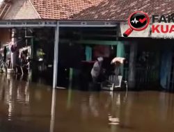 8 Bulan Terendam, Warga Sayung Demak Sebut Banjir Bukan Lagi Bencana, Tapi Krisis Berkepanjangan