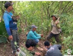 KPH Semarang Sinergi Dengan Perguruan Tinggi Dampingi Dalam Pembelajaran Di Hutan