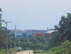 ‎Diduga Tekan Media untuk Hapus Berita BLT dan Krisis Air, Sikap Kades Bukit Makmur Menuai Sorotan