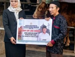 “Sapi Kurban Presiden Prabowo Seberat 1 Ton Gegerkan Warga Demak, Peternak Lokal Jadi Kebanggaan Daerah”