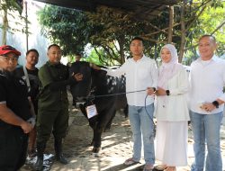 Maknai Idul Adha 1447 H, Polres Gelar Pemotongan 11 Hewan Qurban