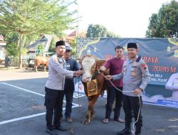 Idul Adha 1447 H, Polres Salatiga Sembelih 5 Ekor Sapi dan 9 Ekor Kambing