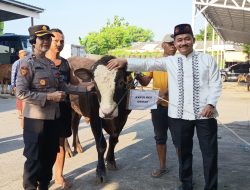 Polres Demak Sembelih 4 Sapi dan 6 Kambing Kurban, Daging Dibagikan untuk Warga