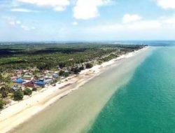 PT MMJ Disorot, Dugaan Kuasai Kawasan Hutan dan Sempadan Pantai di Rupat Picu Desakan Investigasi Lingkungan
