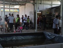 Dugaan Arena Sambung Ayam di Karangawen Jadi Sorotan, Warga Nyatakan Sikap Tolak Perjudian