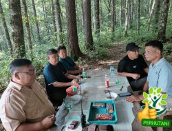 Mantri/KRPH Bantengan BKPH Manggar Lakukan Komsos Bersama LMDH & Dihadiri Awak Media Disekitar Hutan Desa Penadaran – Gubug
