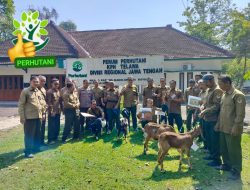 Perhutani KPH Telawa Berikan Penghargaan Yang Berprestasi Untuk Mandor Tanam & Mantri Hutan/KRPH