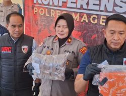 Ketakutan Diuber Polisi , Pengedar Tembakau Sintetis Serahkan Diri Beserta 1,5 Kg Barang Bukti