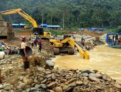 Hutan dan Alam Sumut Sekarat dihancurkan Illegal Mining , M. Irwansyah Lubis, SH., Desak Gubernur Sumut Jangan Diam, Segera Bentuk Satgas dan Surati Presiden RI