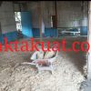 Tokoh Besar & Pengusaha Sukses Desa Sugihmanik Bantu Renovasi Rumah Ngaji Di Desa Sugihmanik – Tanggungharjo