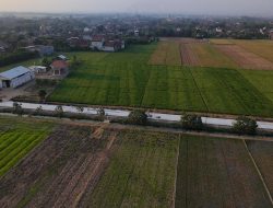 Jalan Gidanglo–Guwosobokerto di Welahan Dicor Beton, Warga Akhiri Penantian 14 Tahun