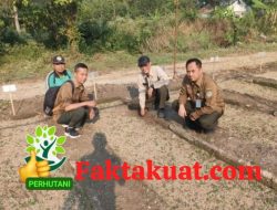 Perum Perhutani Telawa Lakukan Monitoring Persemaian Guna Hasilkan Bibit Berkwalitas