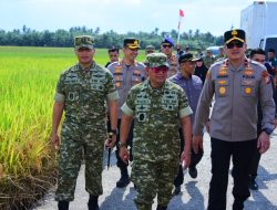 Kodam XIX Tuanku Tambusai Gelar Panen Raya di Bengkalis, Kasdam Ikuti Vidcon Bersama Presiden RI