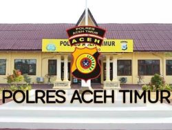 Perkembangan Penanganan Kasus Video Viral Dugaan Penganiayaan Anak di Idi Tunong, Polisi Jelaskan Alasan Belum Menahan Tersangka