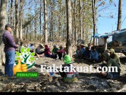 Asper/ KBKPH Karangwonong – KPH Telawa Lakukan KomSos Bersama Pesanggem Untuk Tingkatkan Tanaman