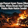Terduga Pencuri Ayam Tewas Dikeroyok Massa, Wisnu Desak Usut Tuntas Pelaku Main Hakim Sendiri Kinerja Kapolsek dan Babinkamtibmas Juga Harus Dipertanyakan