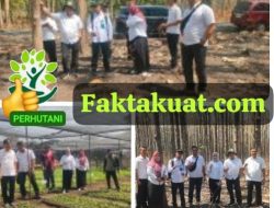 Perum Perhutani KPH Telawa Terima Kunjungan Tim Direksi Pastikan Rencana Penjarangan Pola Jalur