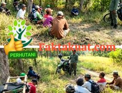 Perhutani KPH Telawa Lakukan Komsos Perkuat Pencegahan Karhutla Bersama Masyarakat