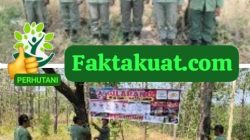 Antisipasi Karhutla Perhutani KPH Telawa Pasang Plang Larangan Pembakaran Hutan