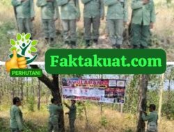 Antisipasi Karhutla Perhutani KPH Telawa Pasang Plang Larangan Pembakaran Hutan