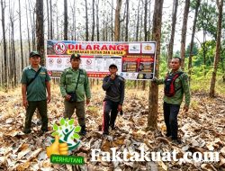Perum Perhutani KPH Telawa Bersama Masyarakat Antisipasi Karhutla Di Hutan KHDPK