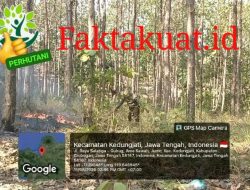 Diduga Sengaja Dibakar 2 Hektar Hutan Perhutani di RPH Mliwang KPH Semarang Dilalap Api & Wakil Ketua DPP LSM GANI Soroti Kinerja Pemerintah yang Bersinergi Dengan Perhutani