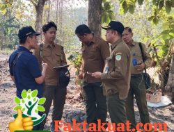 Perum Perhutani KPH Telawa Lakukan Pemeriksaan Lapangan Rencana PPKH Untuk Jalan Desa