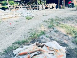 PC IMM Madina Ultimatum Kapolres 3×24 Jam, Desak Penindakan Terhadap Terduga Toke PETI di Simpang Tolang