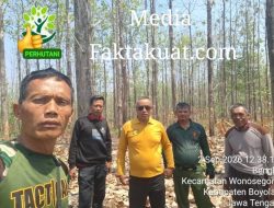Karna Asper/KBKPH Guwo Pimpin Patroli Preventif Bersama Danru Polmob KPH Telawa & Diikuti Anggotanya, Antisipasif Jaga Keamanan Hutan