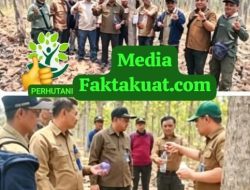 KPH Telawa Dapat Kunjungan Kerja Kadep Produksi Aplikasikan Formula Nutrimon Guna Percepat Pertumbuhan Jati Plus Perhutani
