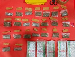 Polresta Banyumas Tangkap Pengedar IS, 75,01 Gram Ganja Dan 486 Butir Obat Daftar G Diamankan