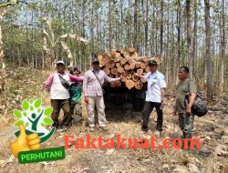 Perum Perhutani KPH Telawa Bersama Masyarakat Percepat Kegiatan Tebangan E